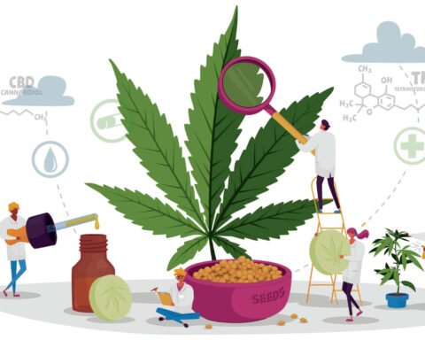 A Dreamers paradise: How THC-O Is changing lives